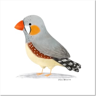 Cute Zebra Finch Bird Posters and Art